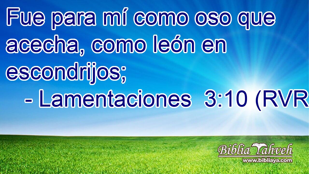 Fue para mí como oso que acecha, como león en escondrijos;