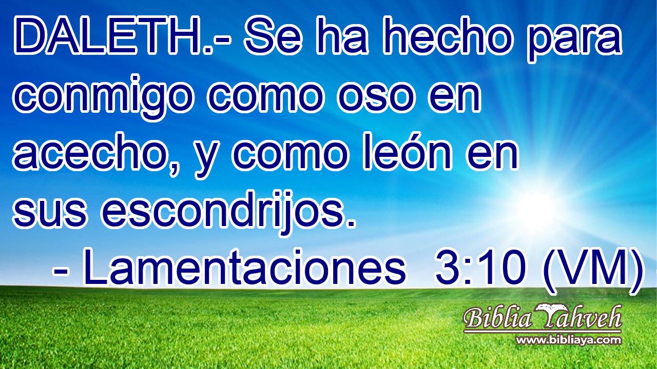  DALETH.- Se ha hecho para conmigo como oso en acecho, y como león en sus escondrijos. 