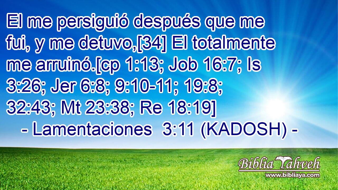  El me persiguió después que me fui, y me detuvo,[34] El totalmente me arruinó.[cp 1:13; Job 16:7; Is 3:26; Jer 6:8; 9:10-11; 19:8; 32:43; Mt 23:38; Re 18:19] 