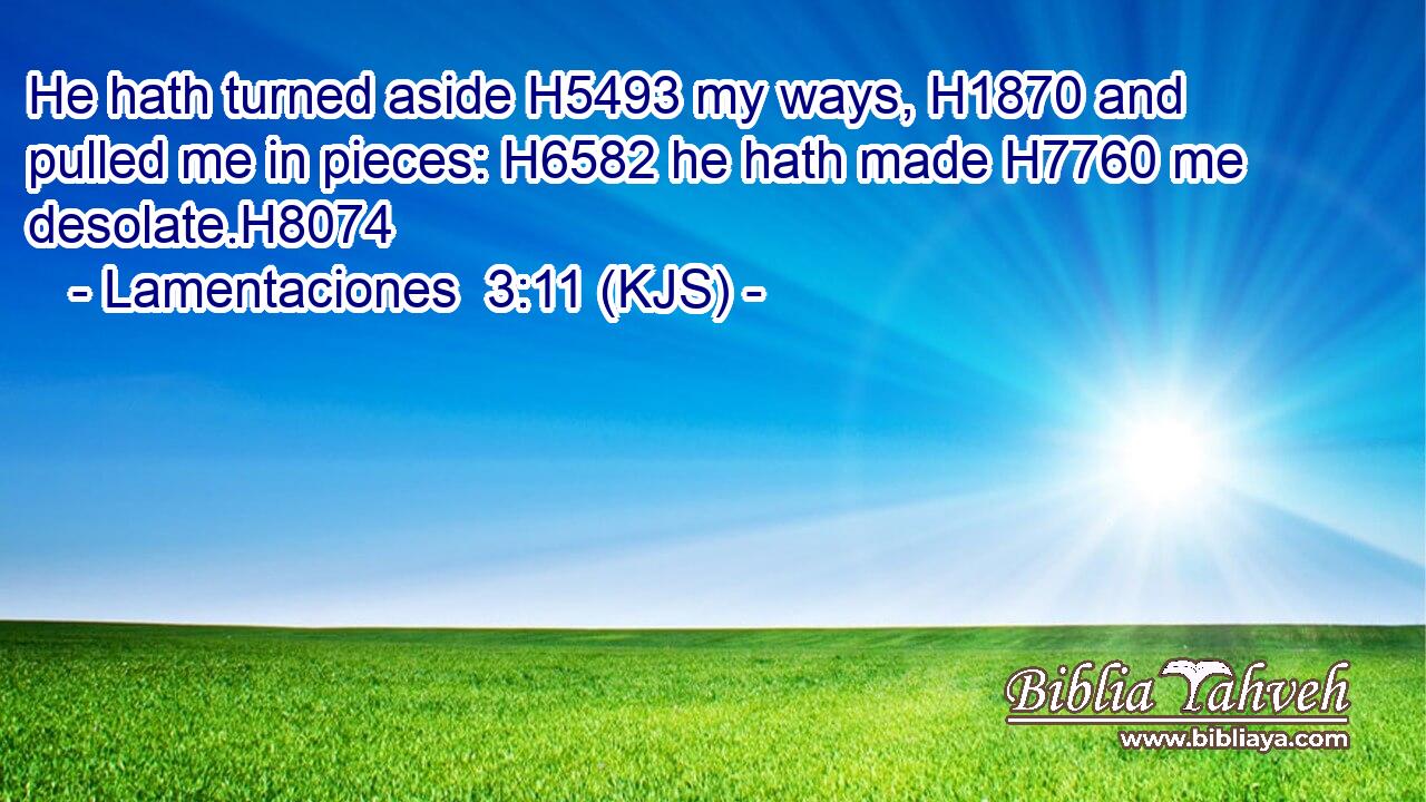 He hath turned aside H5493 my ways, H1870 and pulled me in pieces: H6582 he hath made H7760 me desolate.H8074
