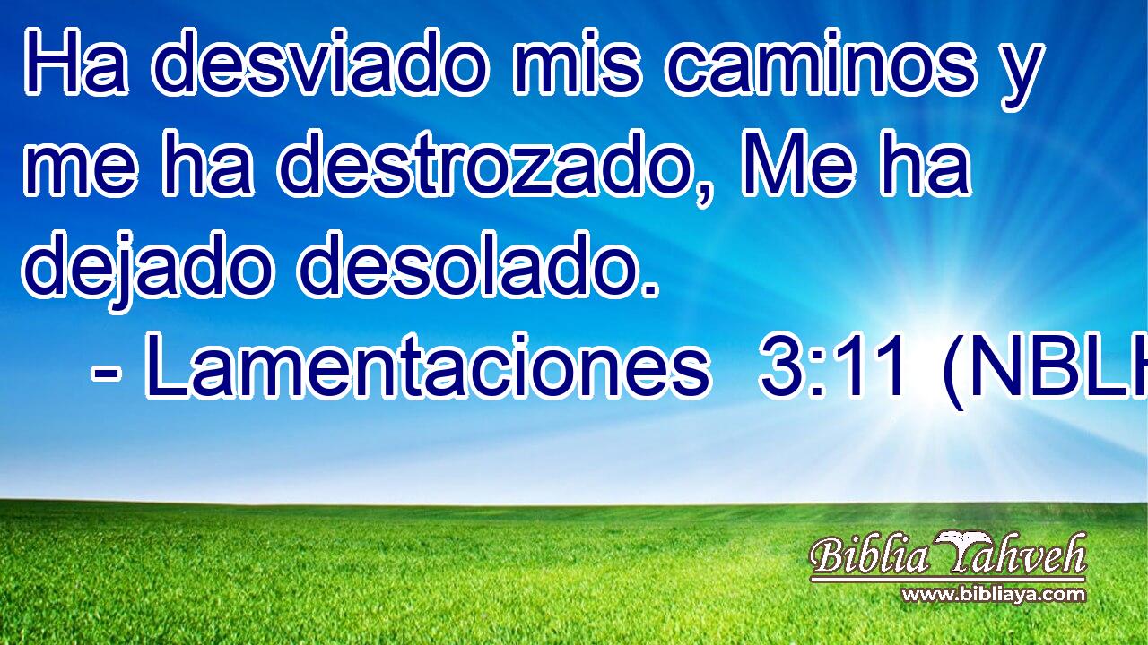  Ha desviado mis caminos y me ha destrozado, Me ha dejado desolado. 