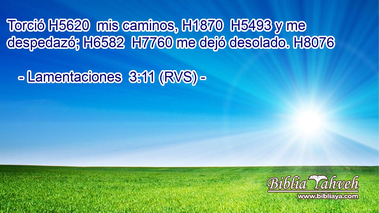 Torció H5620  mis caminos, H1870  H5493 y me despedazó; H6582  H7760 me dejó desolado. H8076  