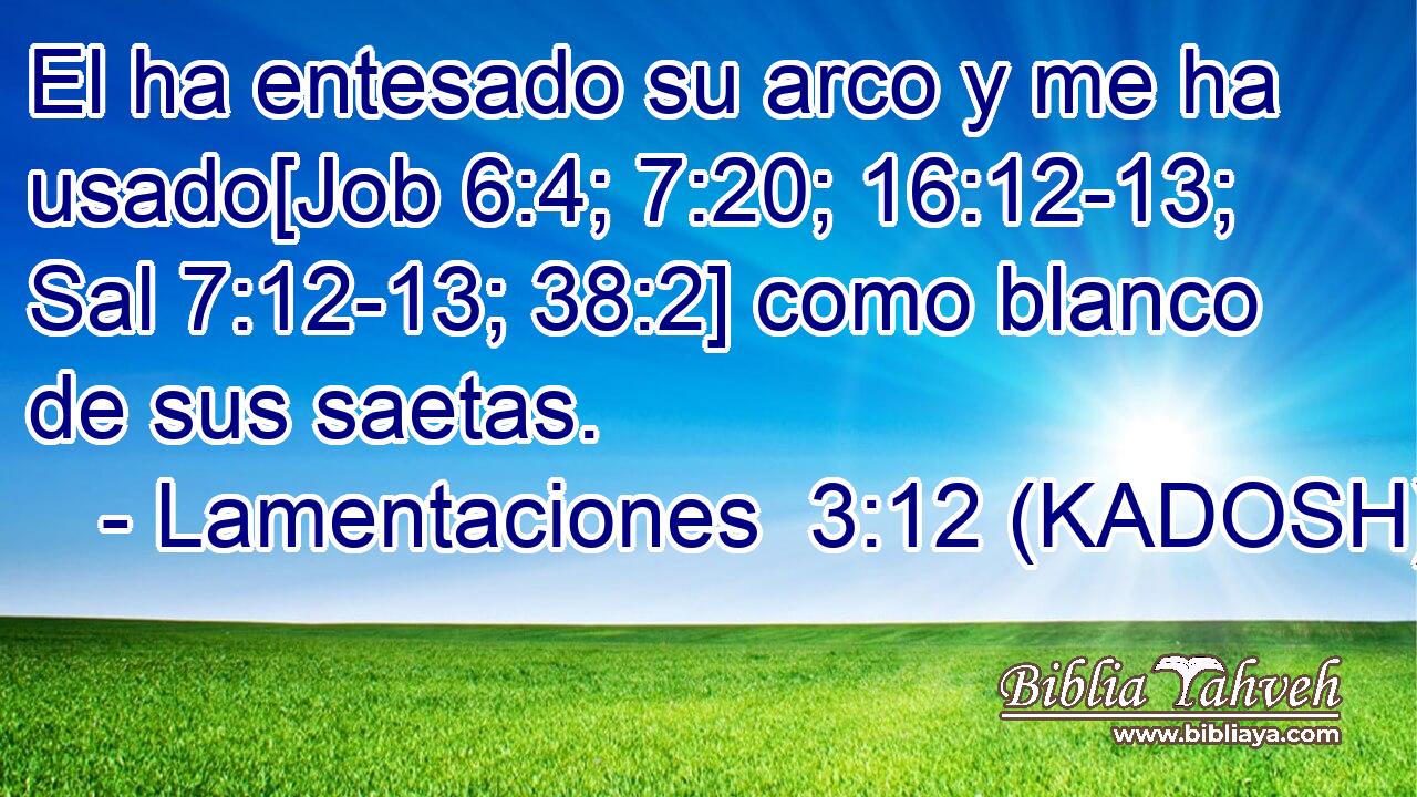  El ha entesado su arco y me ha usado[Job 6:4; 7:20; 16:12-13; Sal 7:12-13; 38:2] como blanco de sus saetas. 