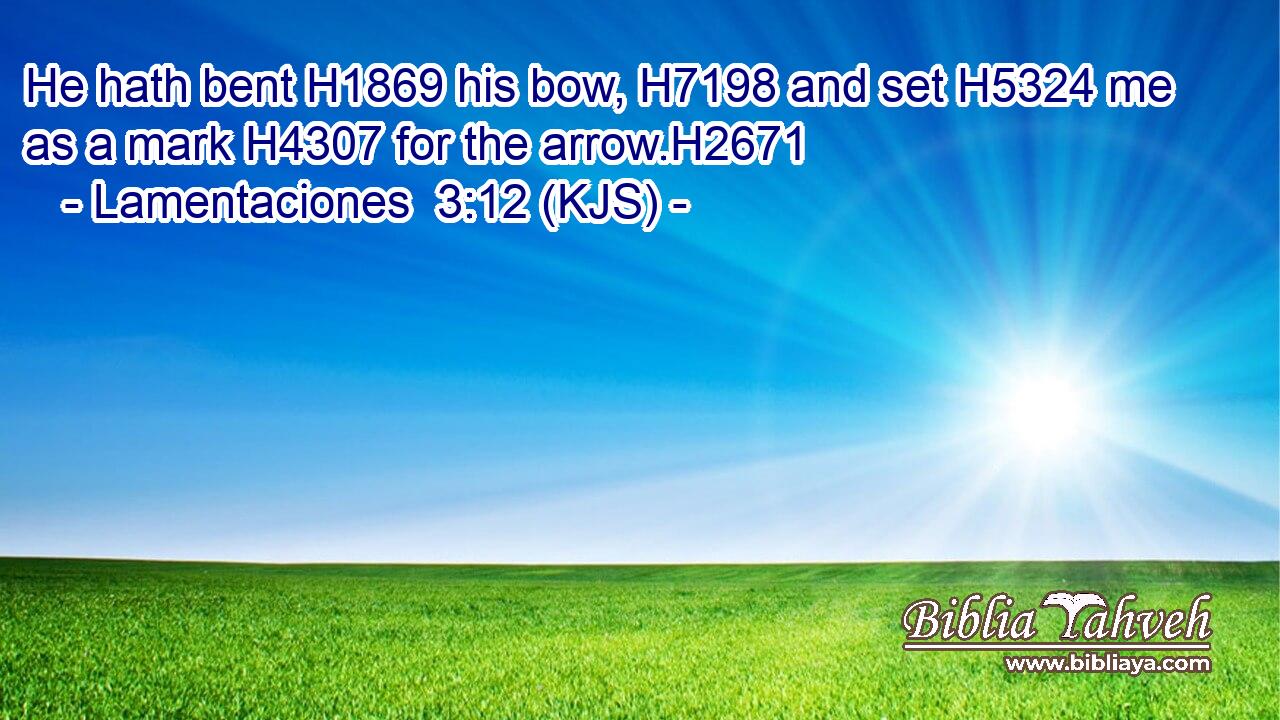 He hath bent H1869 his bow, H7198 and set H5324 me as a mark H4307 for the arrow.H2671