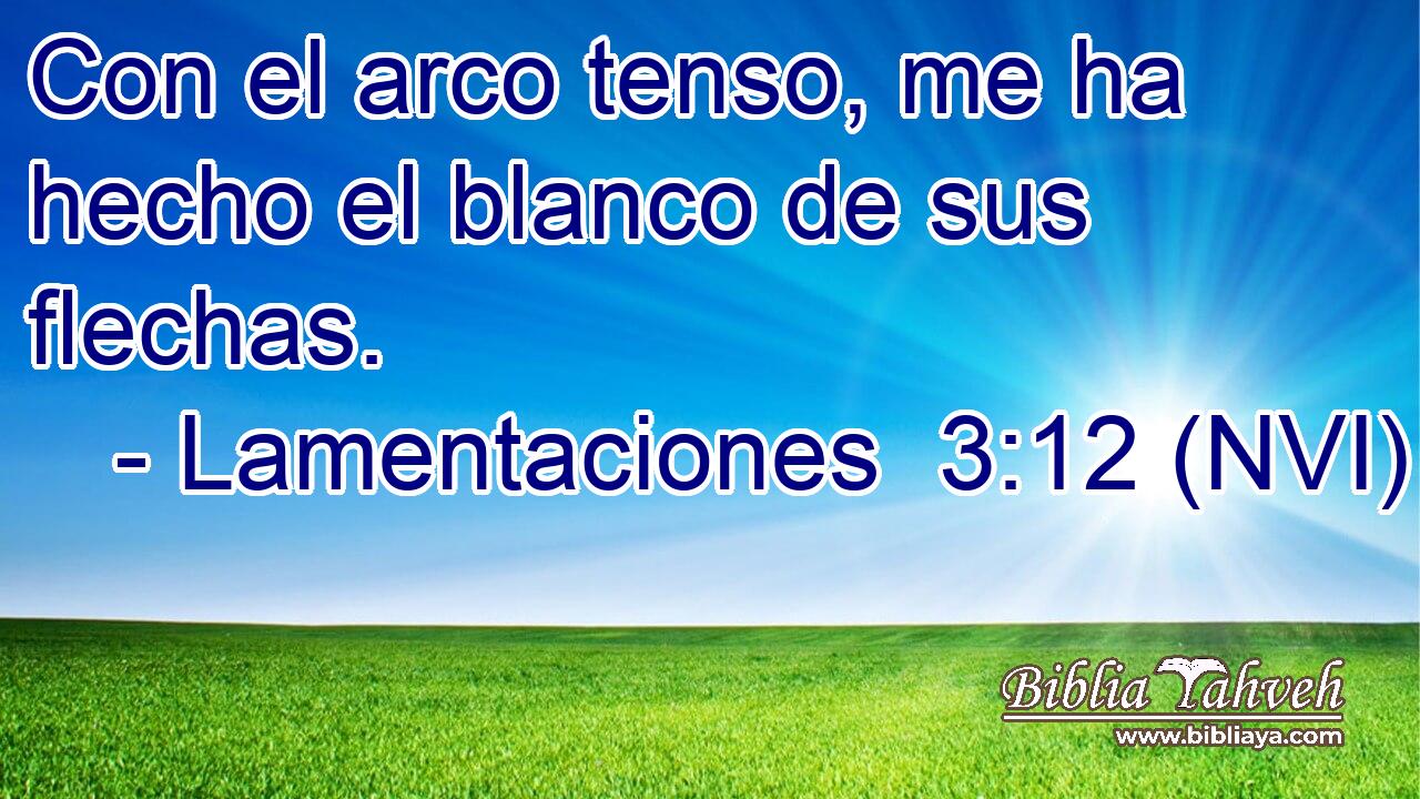  Con el arco tenso, me ha hecho el blanco de sus flechas. 