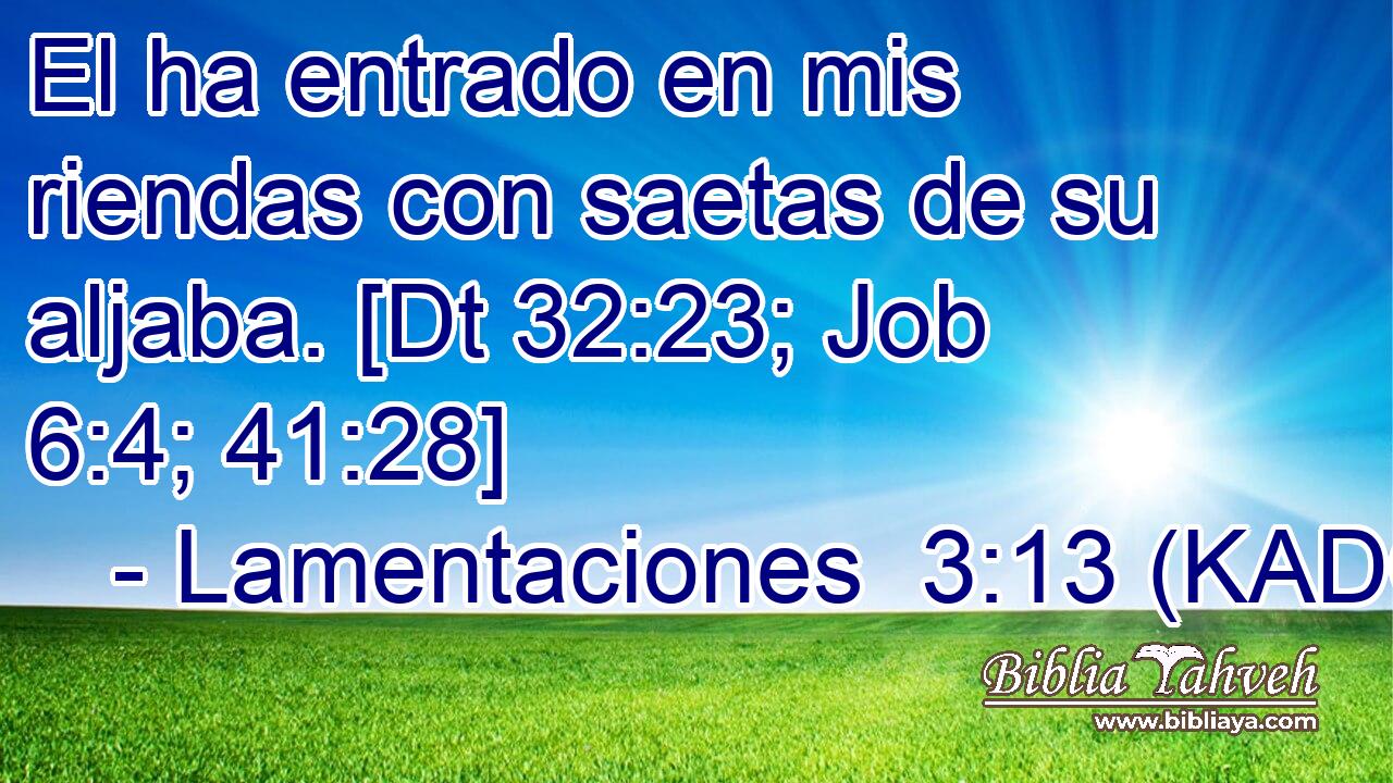  El ha entrado en mis riendas con saetas de su aljaba. [Dt 32:23; Job 6:4; 41:28] 