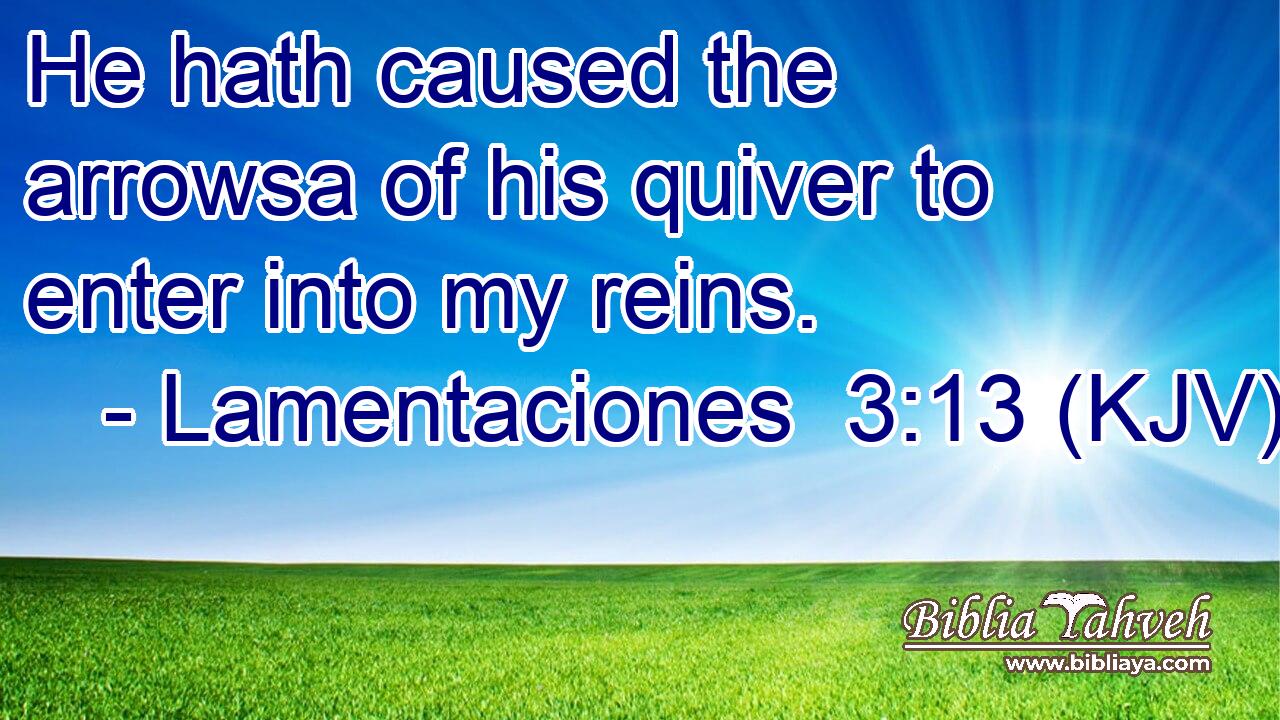 He hath caused the arrowsa of his quiver to enter into my reins.