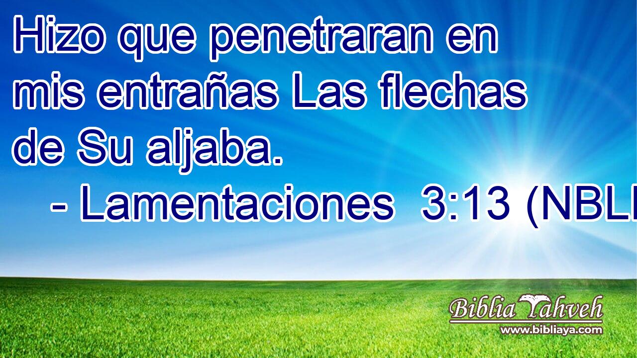  Hizo que penetraran en mis entrañas Las flechas de Su aljaba. 