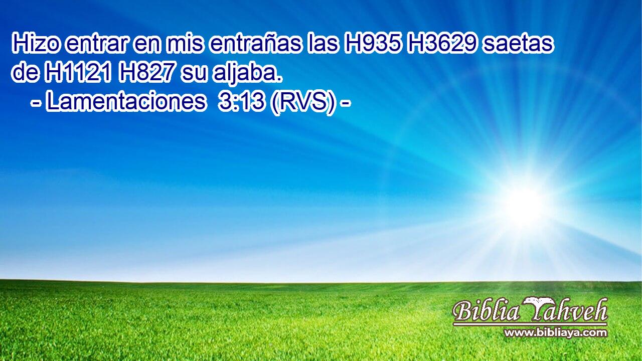 Hizo entrar en mis entrañas las H935 H3629 saetas de H1121 H827 su aljaba. 