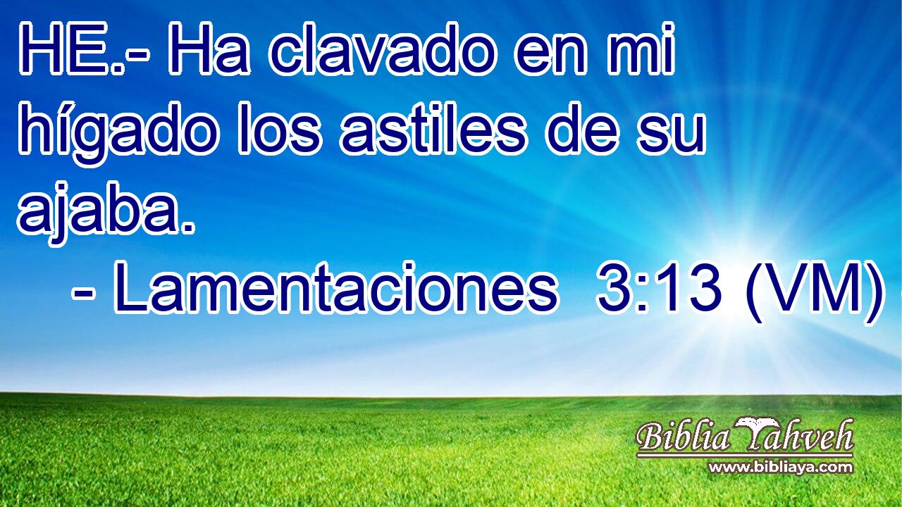  HE.- Ha clavado en mi hígado los astiles de su ajaba. 