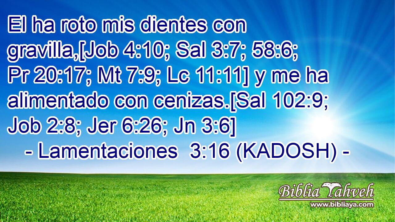  El ha roto mis dientes con gravilla,[Job 4:10; Sal 3:7; 58:6; Pr 20:17; Mt 7:9; Lc 11:11] y me ha alimentado con cenizas.[Sal 102:9; Job 2:8; Jer 6:26; Jn 3:6] 