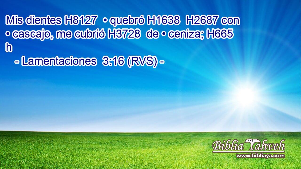 Mis dientes H8127  • quebró H1638  H2687 con • cascajo, me cubrió H3728  de • ceniza; H665 h 