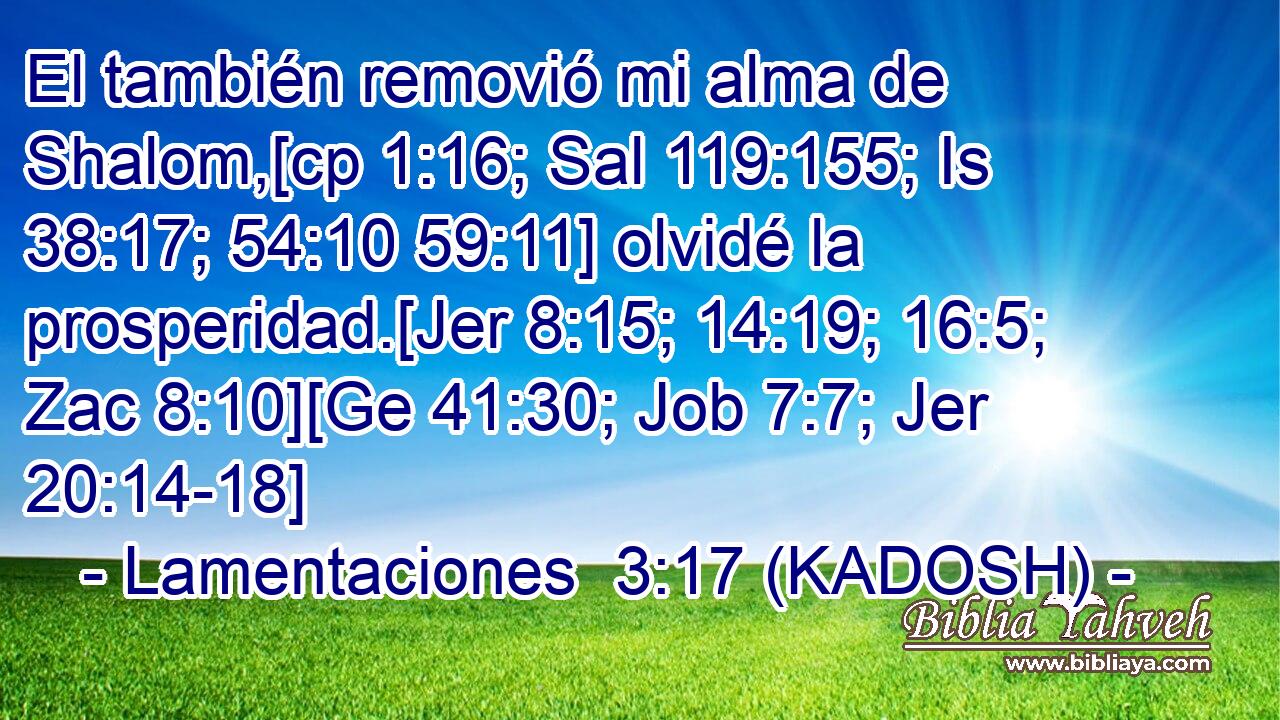 El también removió mi alma de Shalom,[cp 1:16; Sal 119:155; Is 38:17; 54:10 59:11] olvidé la prosperidad.[Jer 8:15; 14:19; 16:5; Zac 8:10][Ge 41:30; Job 7:7; Jer 20:14-18] 