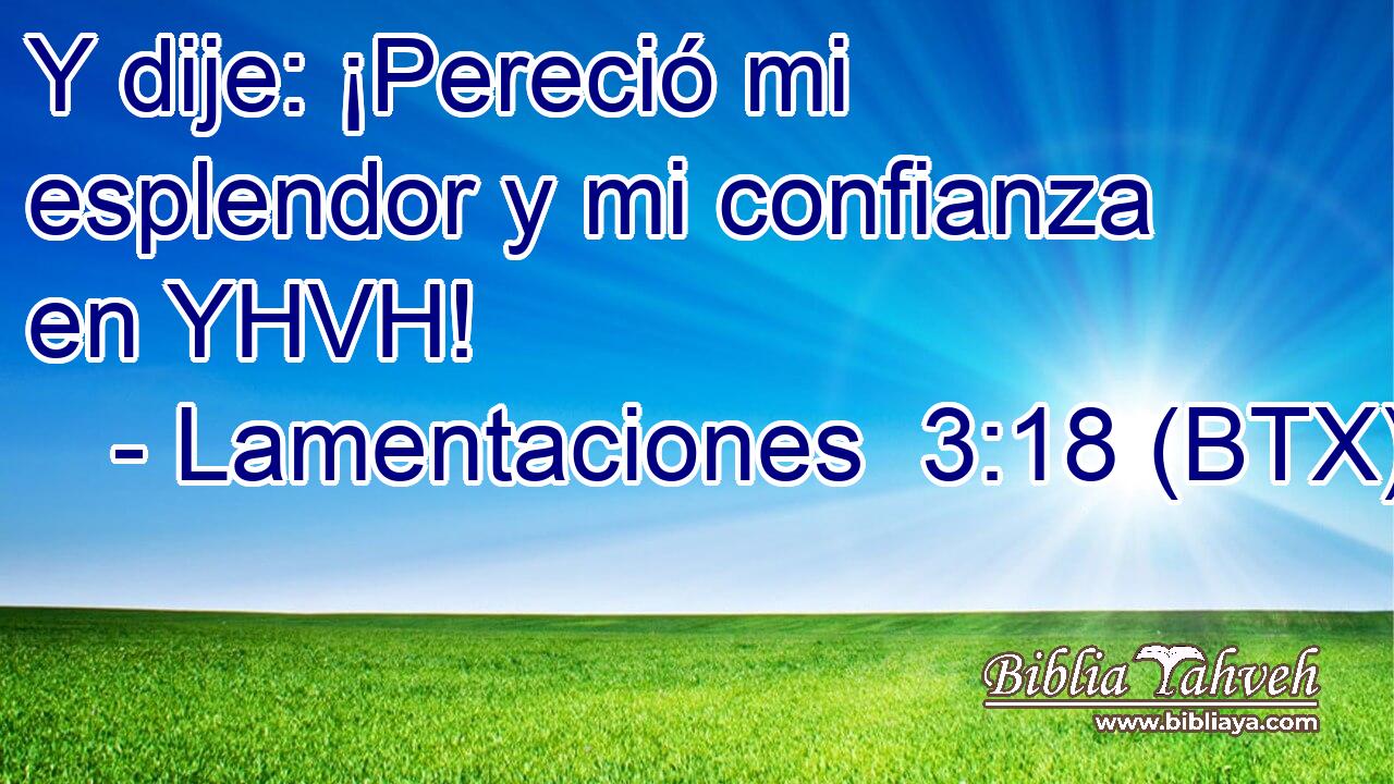 Y dije: ¡Pereció mi esplendor y mi confianza en YHVH!