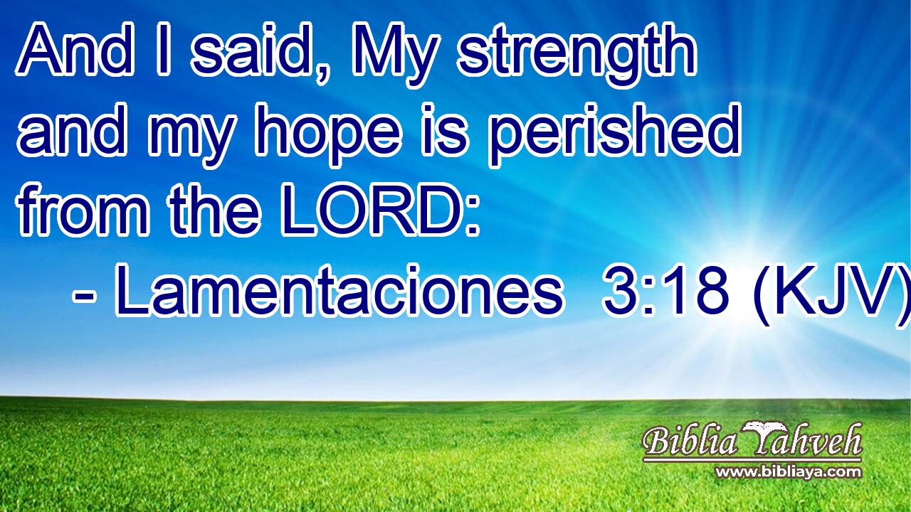 And I said, My strength and my hope is perished from the LORD: