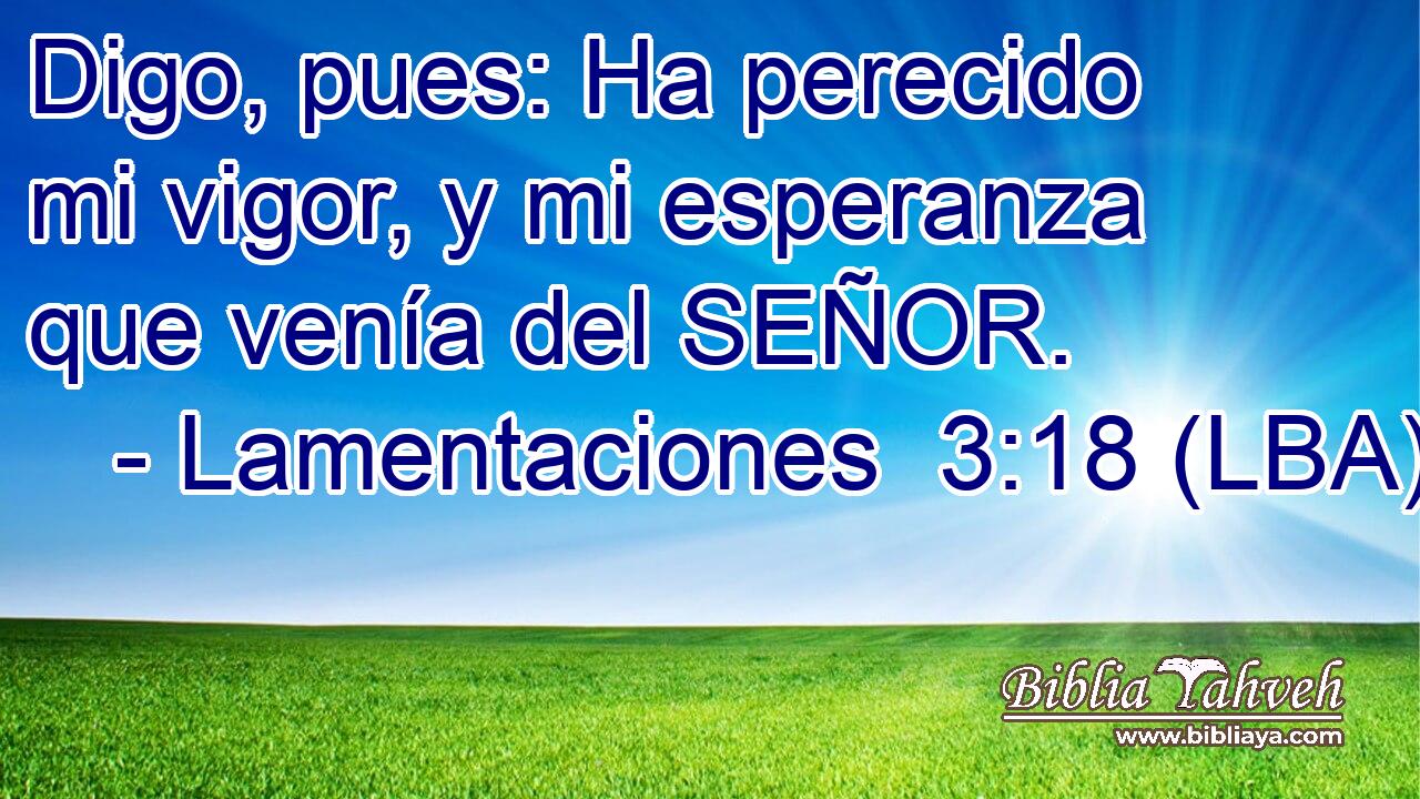 Digo, pues: Ha perecido mi vigor, y mi esperanza que venía del SEÑOR.