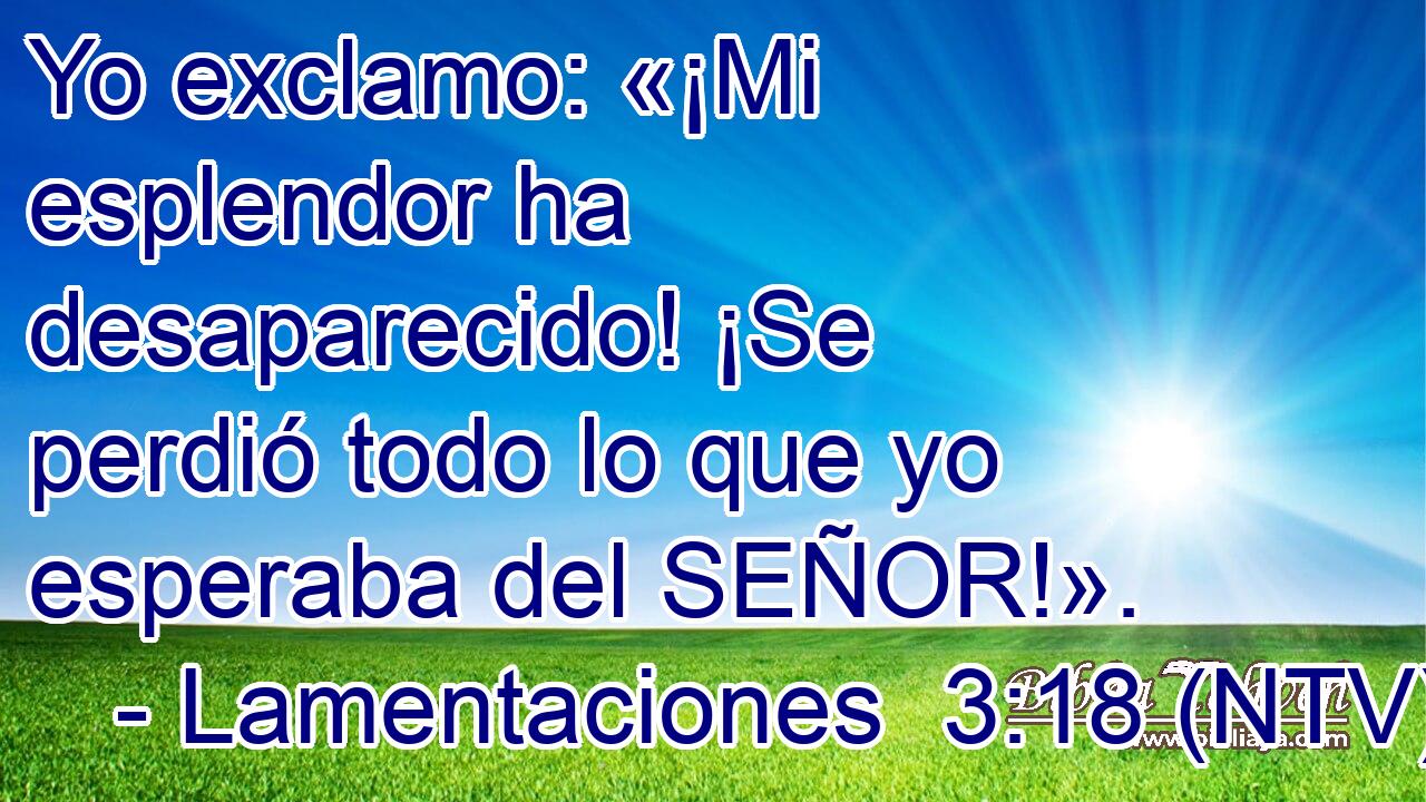 Yo exclamo: «¡Mi esplendor ha desaparecido! ¡Se perdió todo lo que yo esperaba del SEÑOR!».
