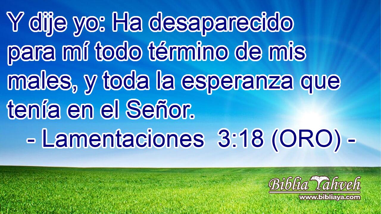  Y dije yo: Ha desaparecido para mí todo término de mis males, y toda la esperanza que tenía en el Señor. 