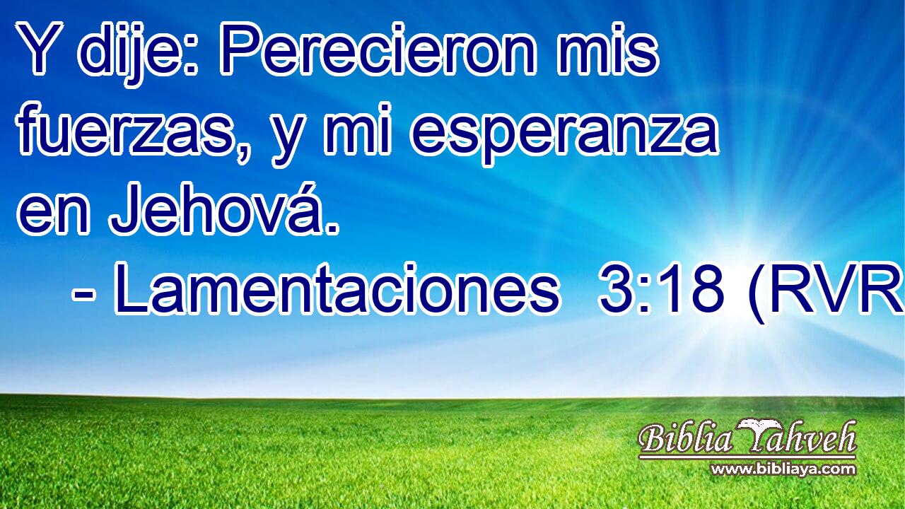 Y dije: Perecieron mis fuerzas, y mi esperanza en Jehová.
