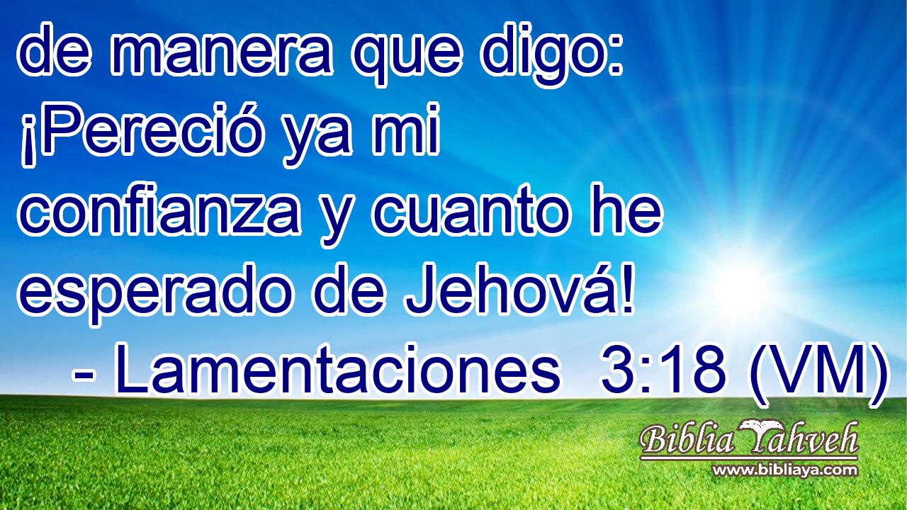  de manera que digo: ¡Pereció ya mi confianza y cuanto he esperado de Jehová! 