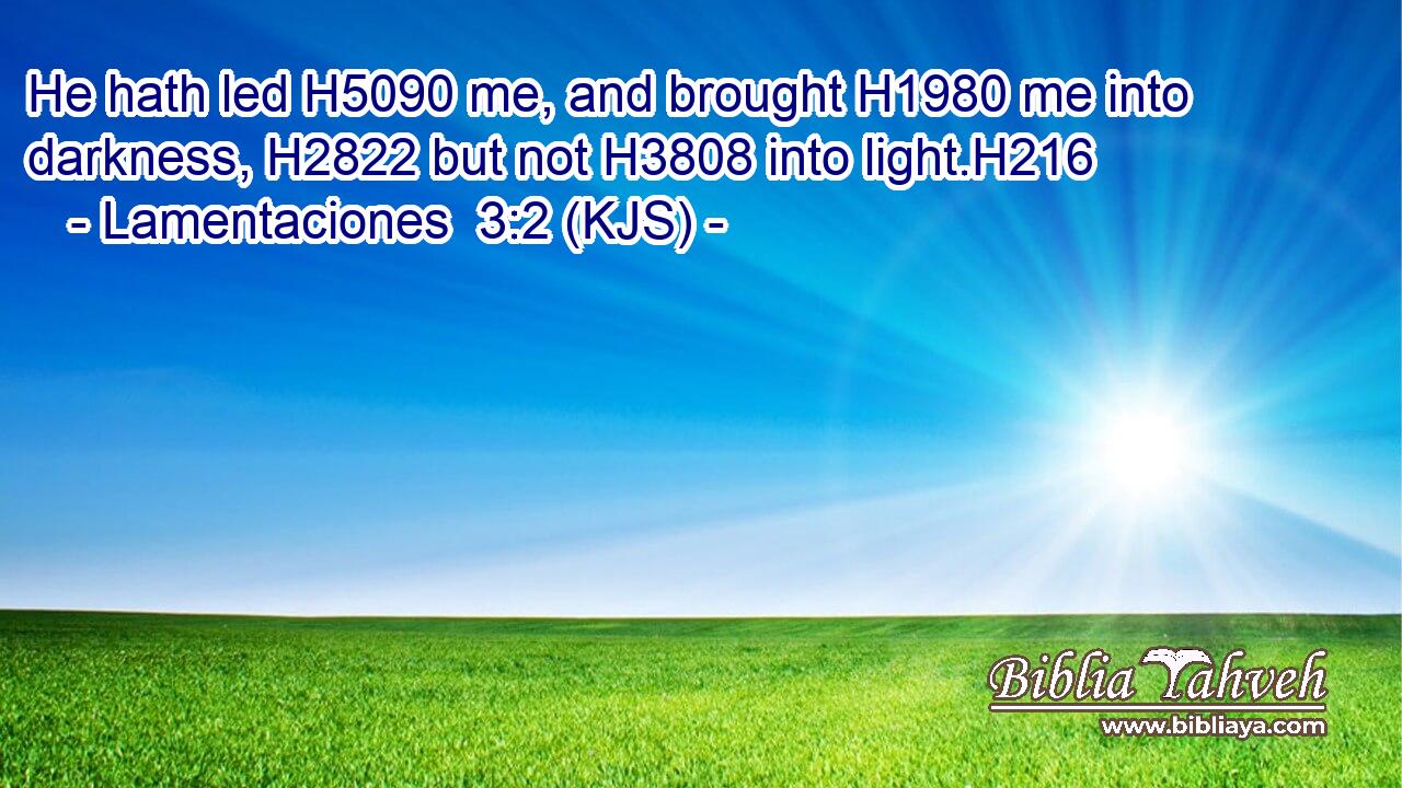 He hath led H5090 me, and brought H1980 me into darkness, H2822 but not H3808 into light.H216