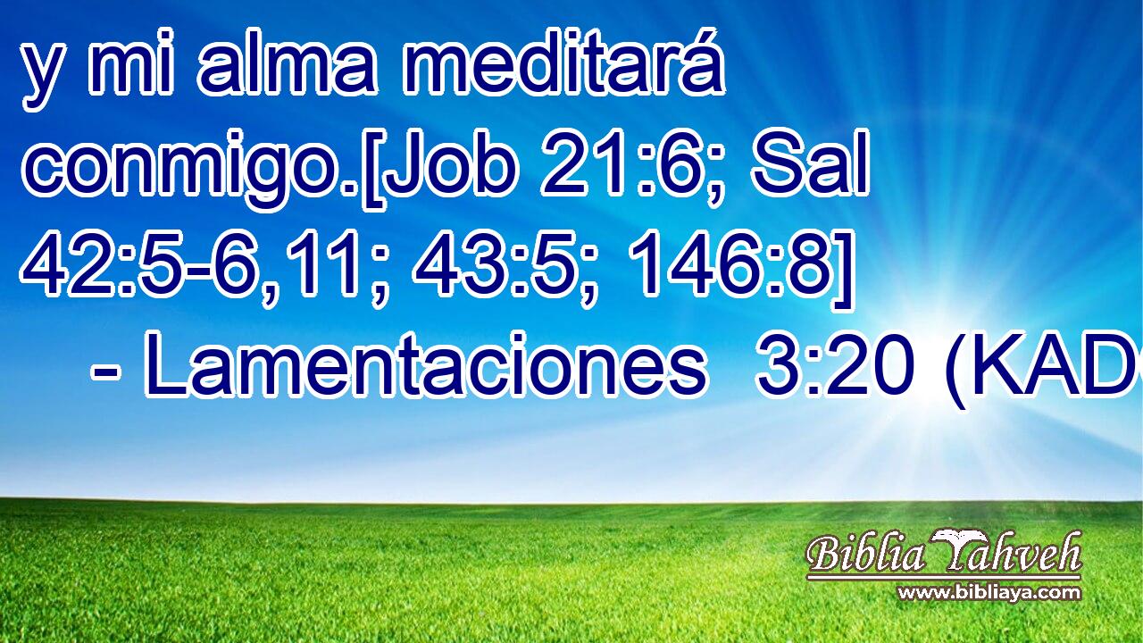  y mi alma meditará conmigo.[Job 21:6; Sal 42:5-6,11; 43:5; 146:8] 