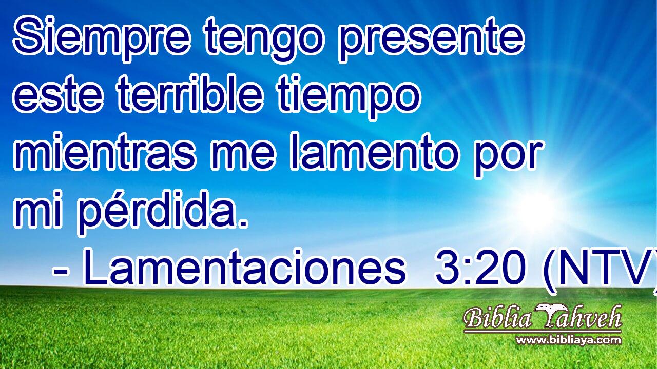 Siempre tengo presente este terrible tiempo mientras me lamento por mi pérdida.