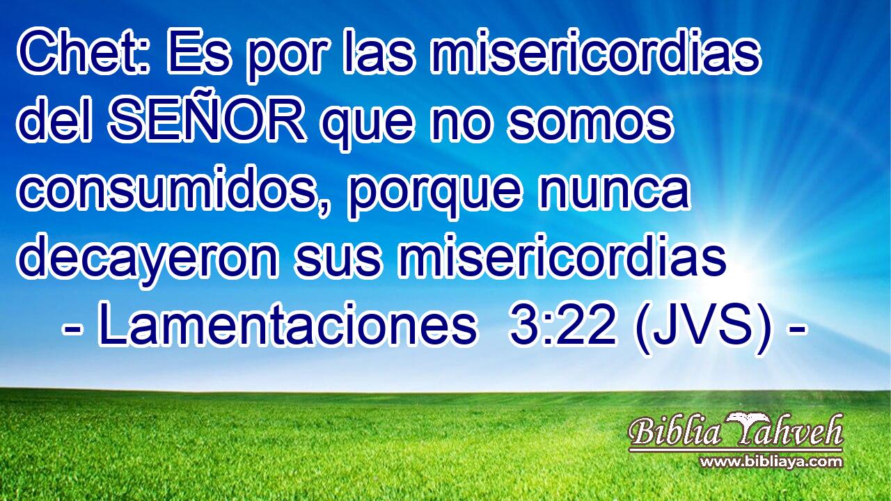 Chet: Es por las misericordias del SEÑOR que no somos consumidos, porque nunca decayeron sus misericordias