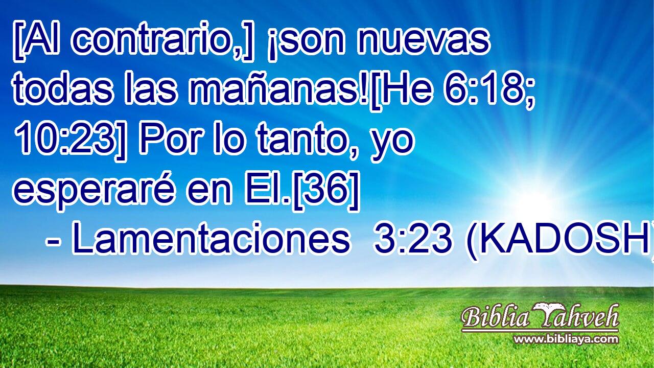  [Al contrario,] ¡son nuevas todas las mañanas![He 6:18; 10:23] Por lo tanto, yo esperaré en El.[36] 