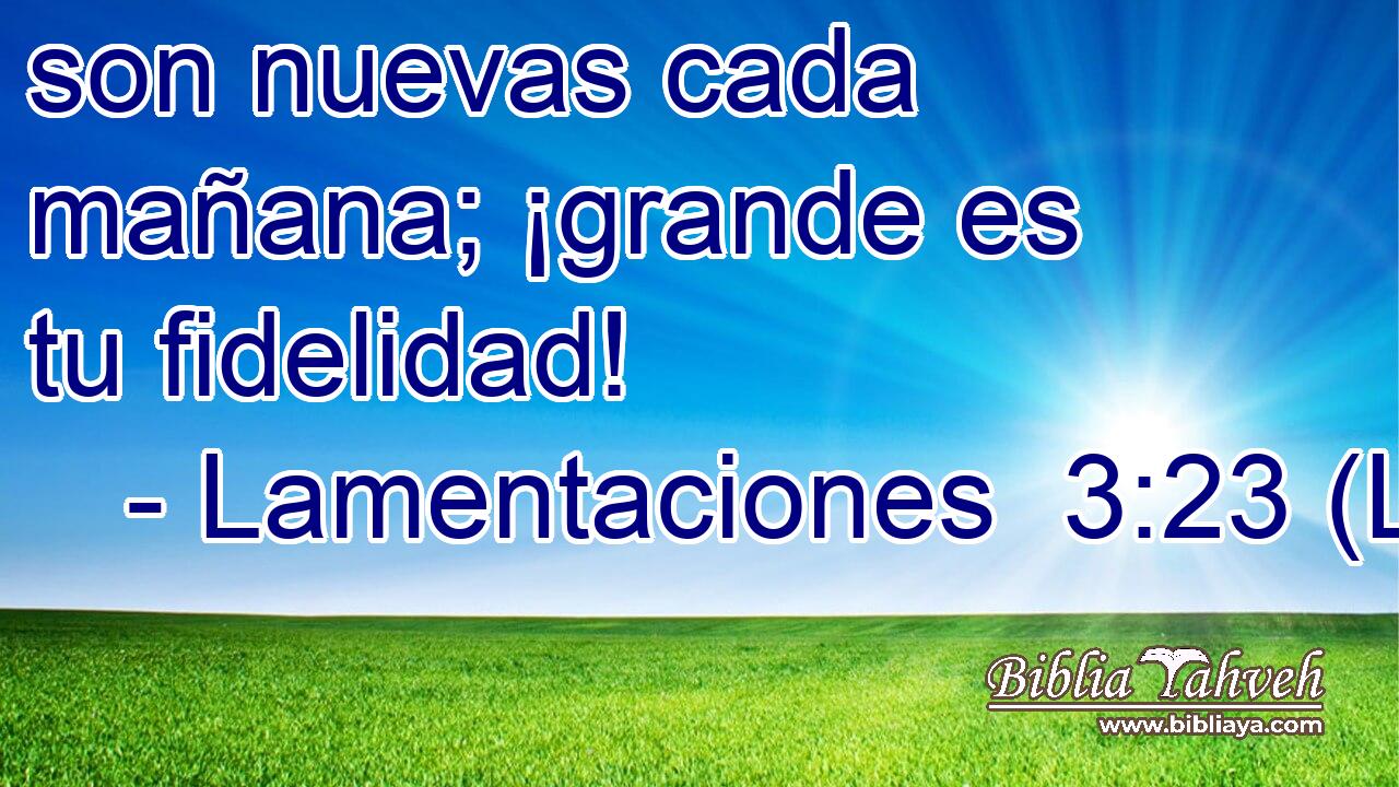 son nuevas cada mañana; ¡grande es tu fidelidad!