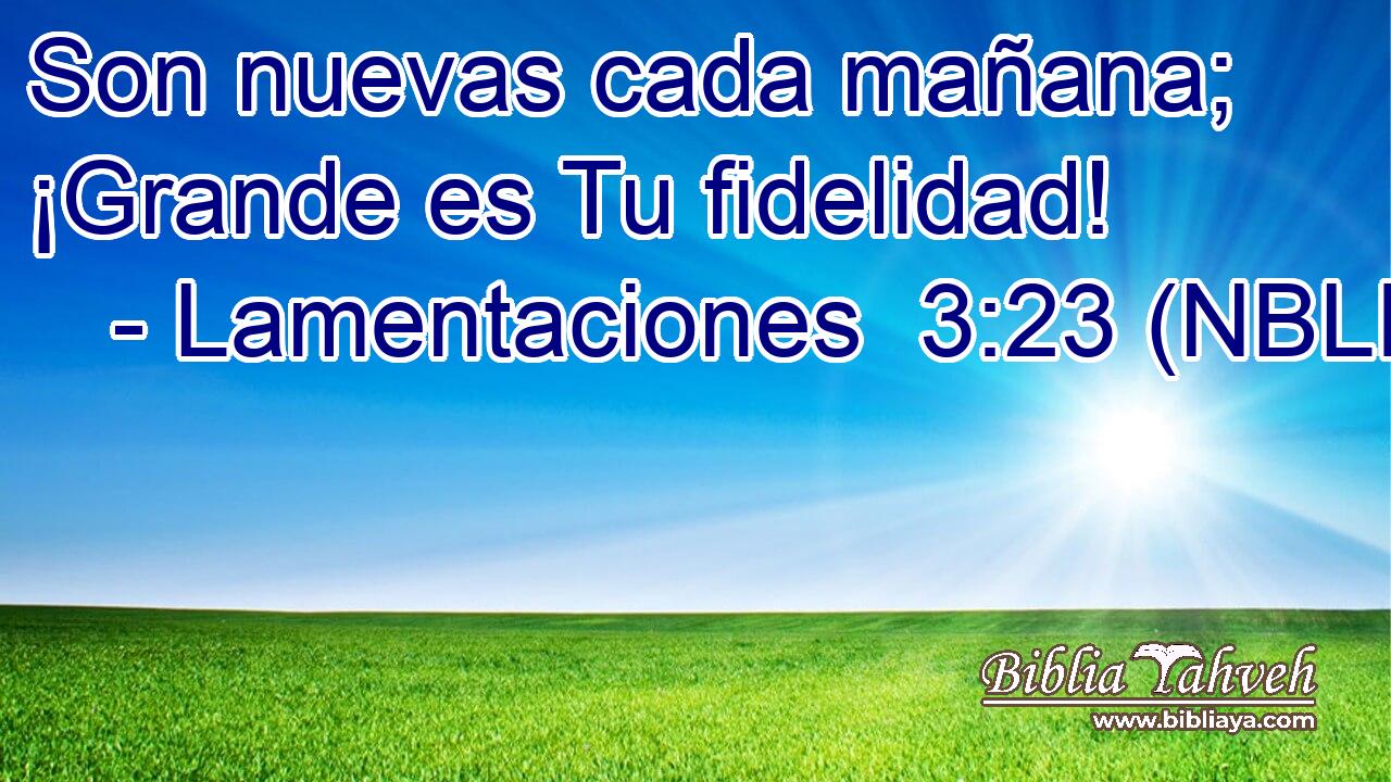 Son nuevas cada mañana; ¡Grande es Tu fidelidad! 