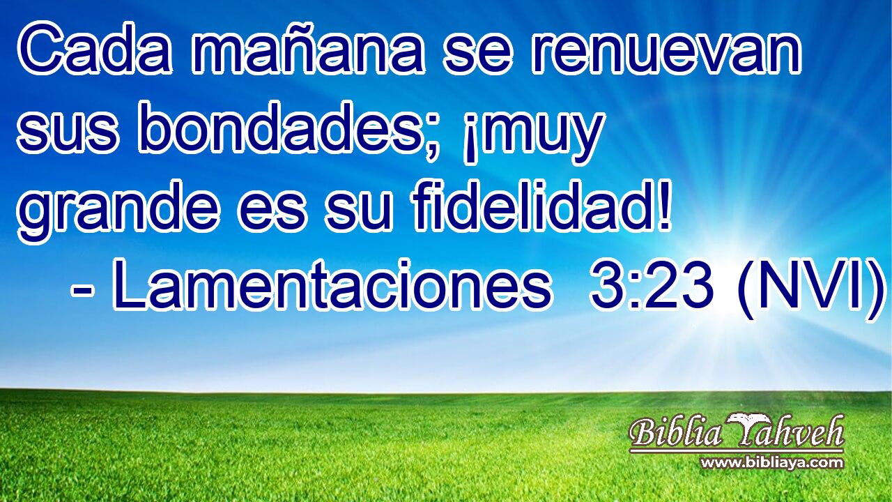  Cada mañana se renuevan sus bondades; ¡muy grande es su fidelidad! 