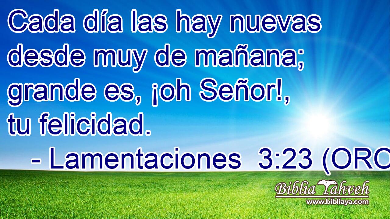  Cada día las hay nuevas desde muy de mañana; grande es, ¡oh Señor!, tu felicidad. 
