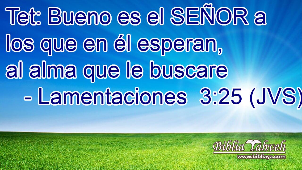 Tet: Bueno es el SEÑOR a los que en él esperan, al alma que le buscare