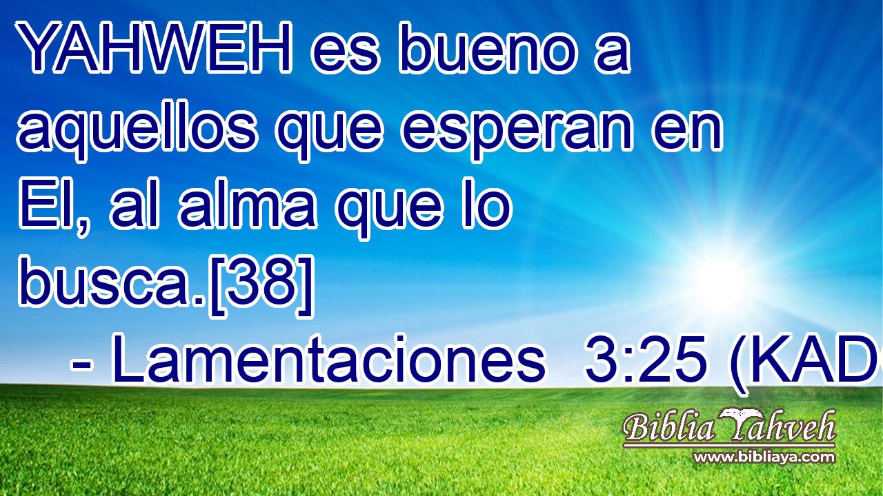  YAHWEH es bueno a aquellos que esperan en El, al alma que lo busca.[38] 