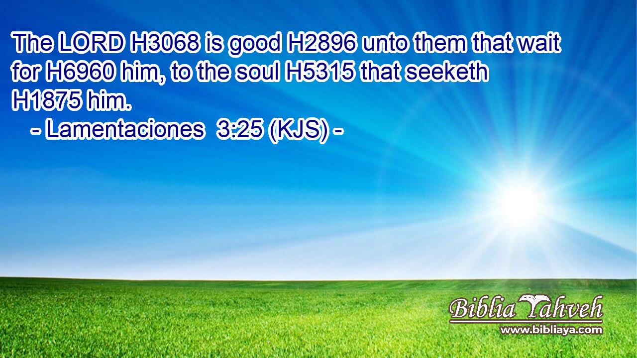 The LORD H3068 is good H2896 unto them that wait for H6960 him, to the soul H5315 that seeketh H1875 him.
