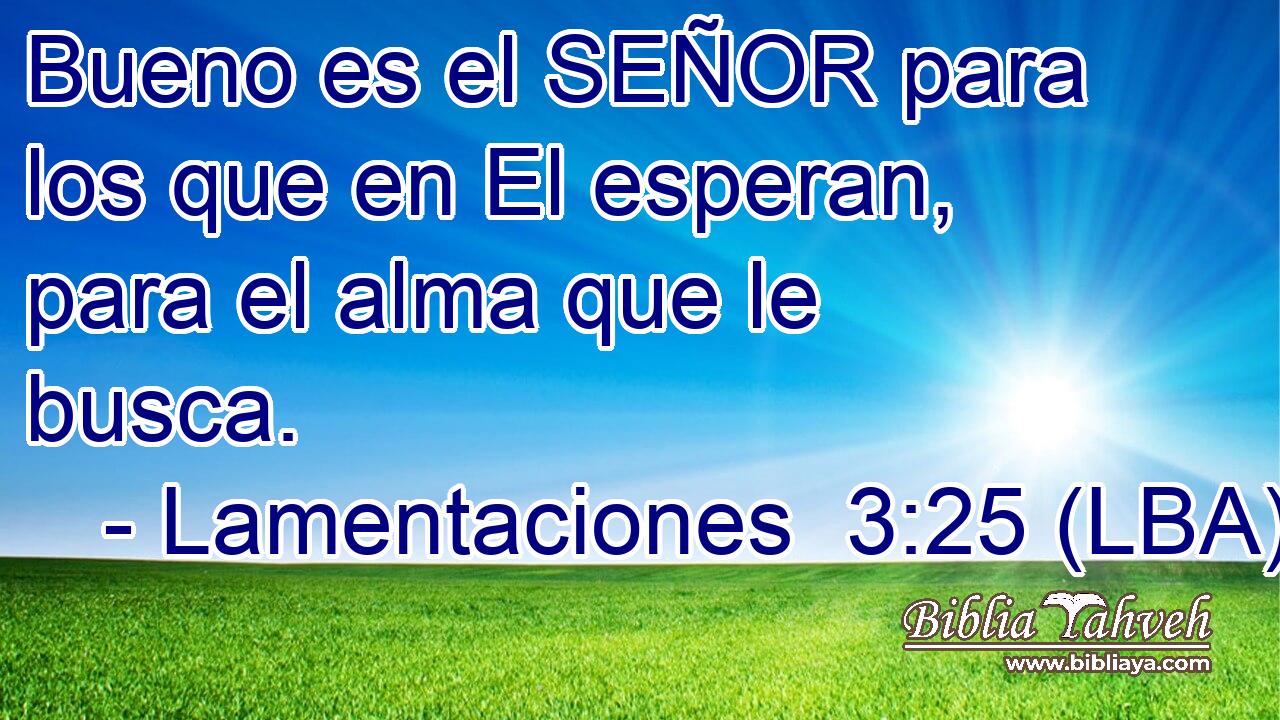 Bueno es el SEÑOR para los que en El esperan, para el alma que le busca.