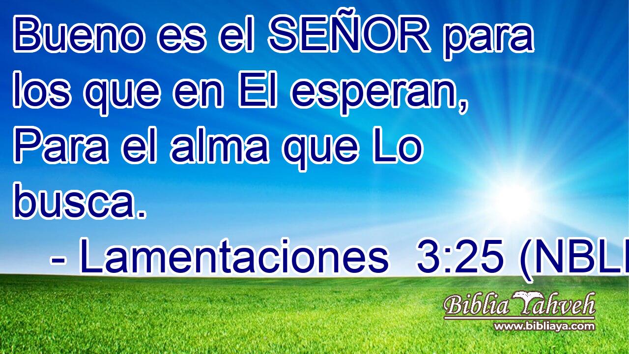  Bueno es el SEÑOR para los que en El esperan, Para el alma que Lo busca. 
