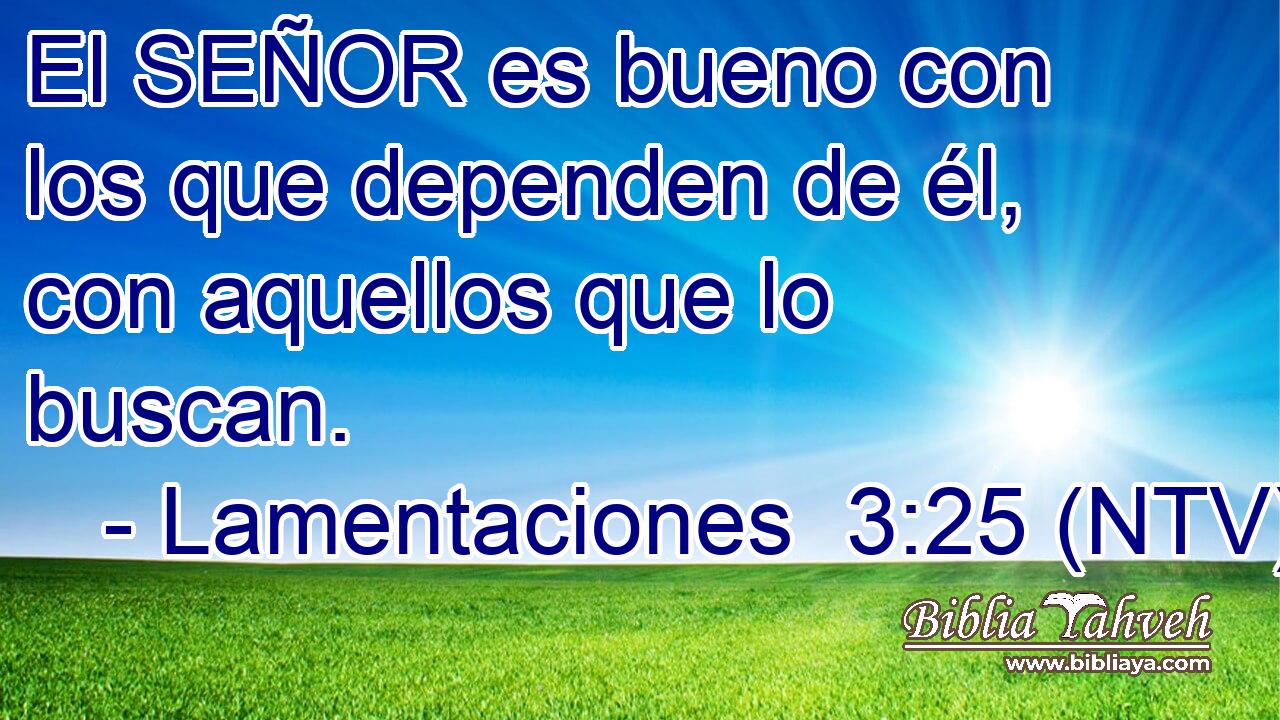El SEÑOR es bueno con los que dependen de él, con aquellos que lo buscan.