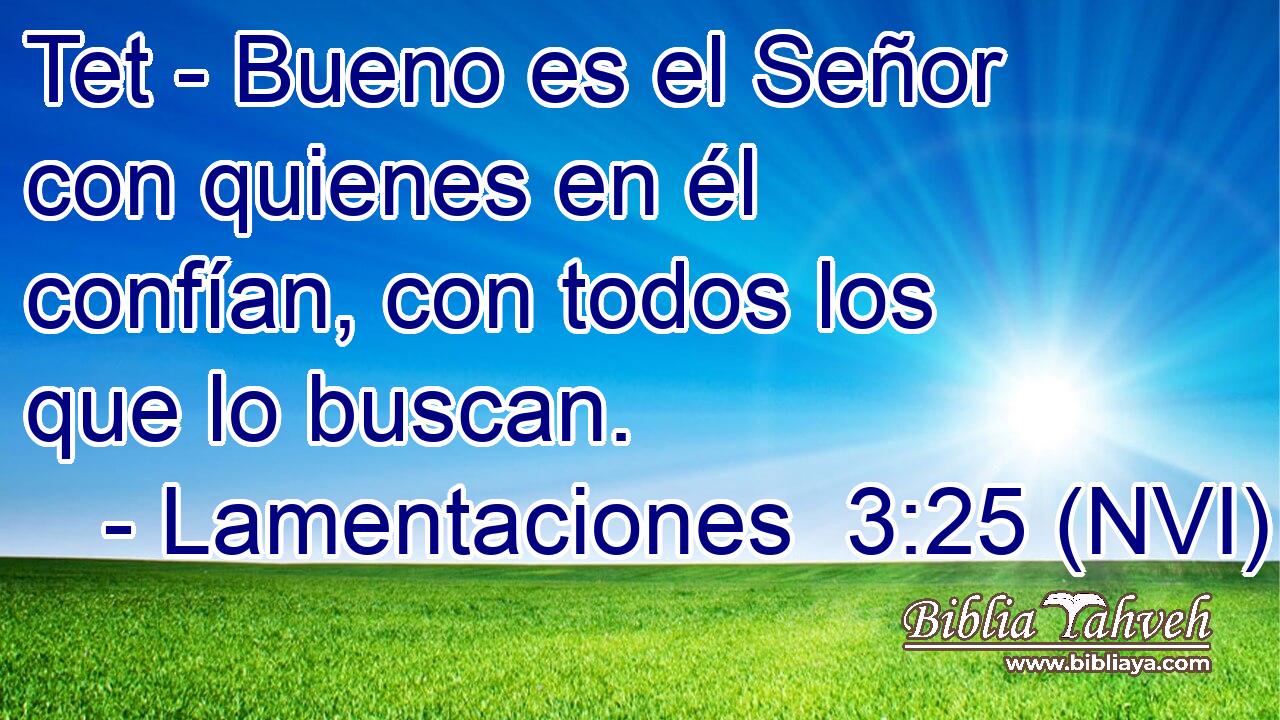  Tet - Bueno es el Señor con quienes en él confían, con todos los que lo buscan. 
