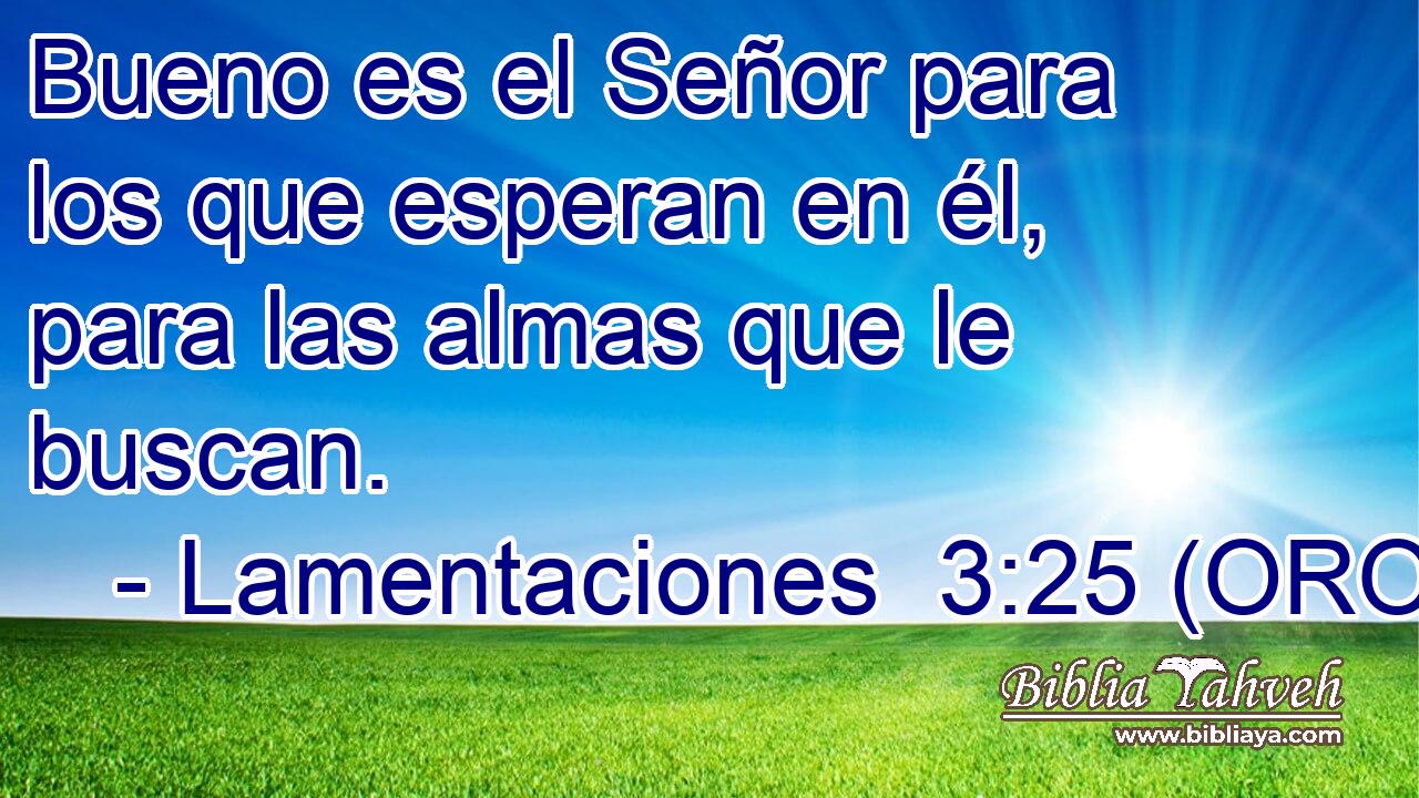  Bueno es el Señor para los que esperan en él, para las almas que le buscan. 