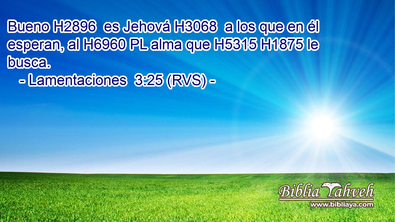 Bueno H2896  es Jehová H3068  a los que en él esperan, al H6960 PL alma que H5315 H1875 le busca. 