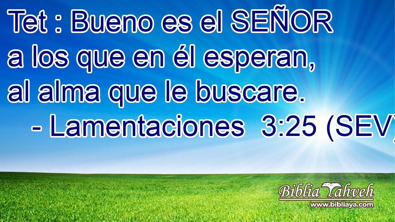 Tet : Bueno es el SEÑOR a los que en él esperan, al alma que le buscare.