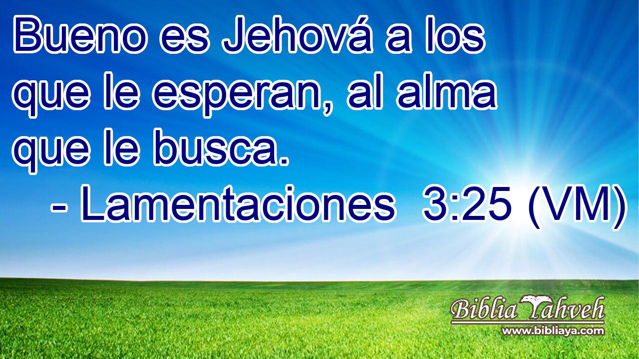  Bueno es Jehová a los que le esperan, al alma que le busca. 