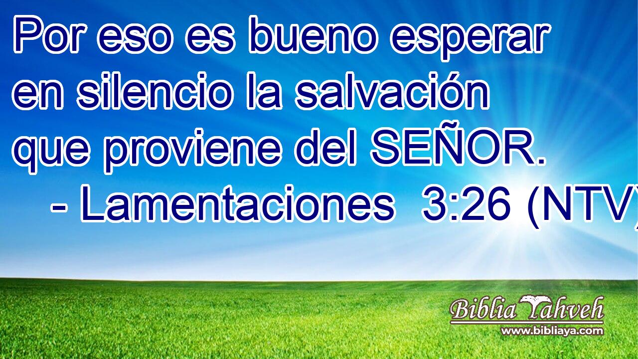 Por eso es bueno esperar en silencio la salvación que proviene del SEÑOR.