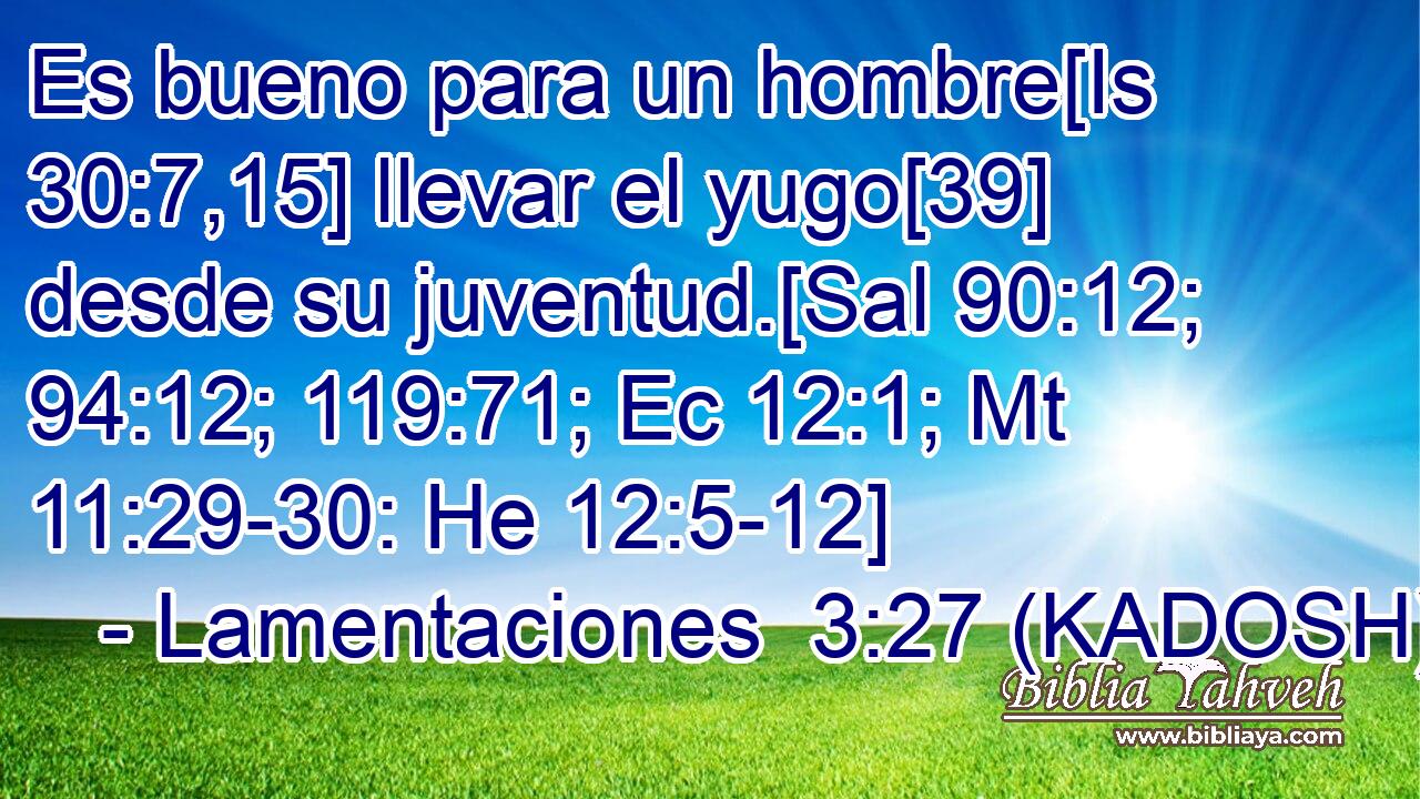  Es bueno para un hombre[Is 30:7,15] llevar el yugo[39] desde su juventud.[Sal 90:12; 94:12; 119:71; Ec 12:1; Mt 11:29-30: He 12:5-12] 