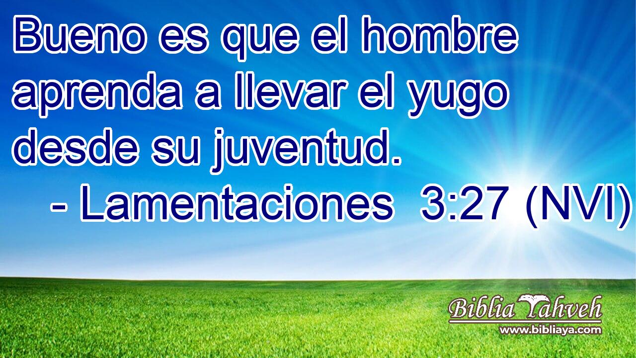  Bueno es que el hombre aprenda a llevar el yugo desde su juventud. 