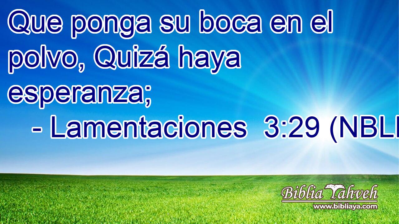  Que ponga su boca en el polvo, Quizá haya esperanza; 