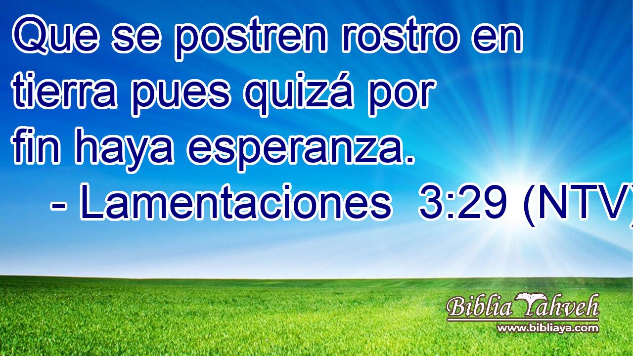 Que se postren rostro en tierra pues quizá por fin haya esperanza.
