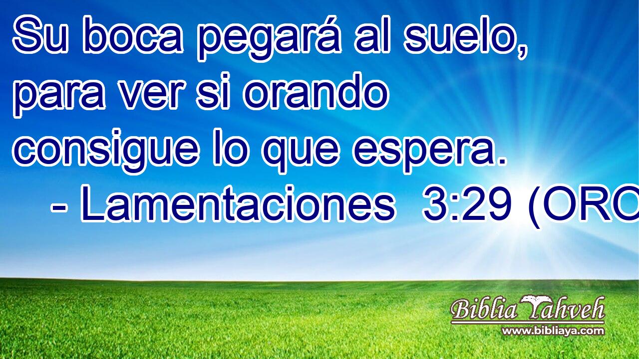  Su boca pegará al suelo, para ver si orando consigue lo que espera. 